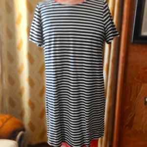 Ann Taylor Summer Knit dress